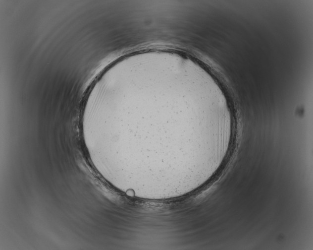 X0000115691170200912241455