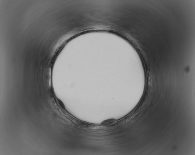 X0000115691171200912241455