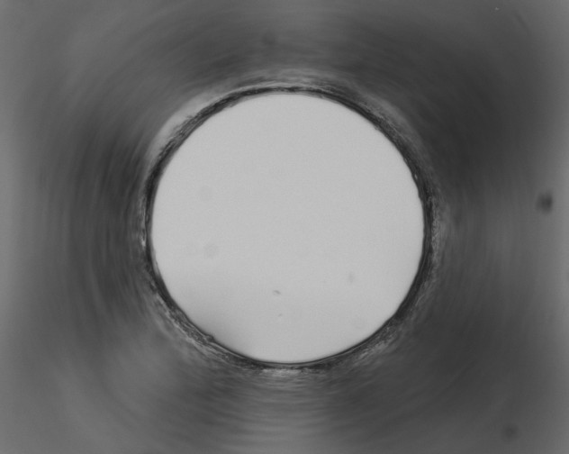 X0000115691172200912241455