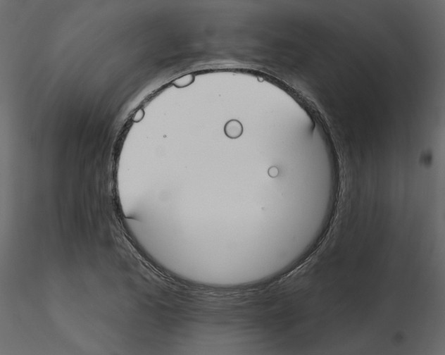 X0000115691173200912241455