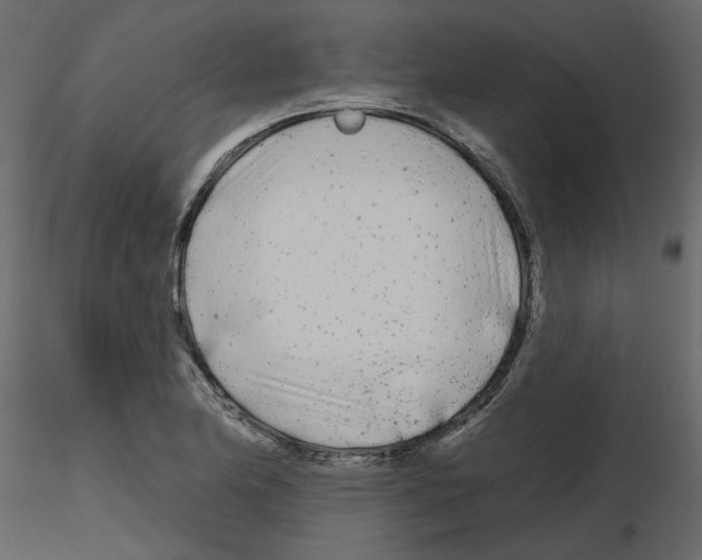 X0000115691174200912241455