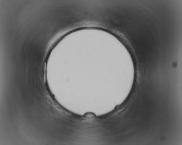 X0000115691175200912241455