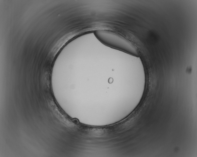 X0000115691177200912241455