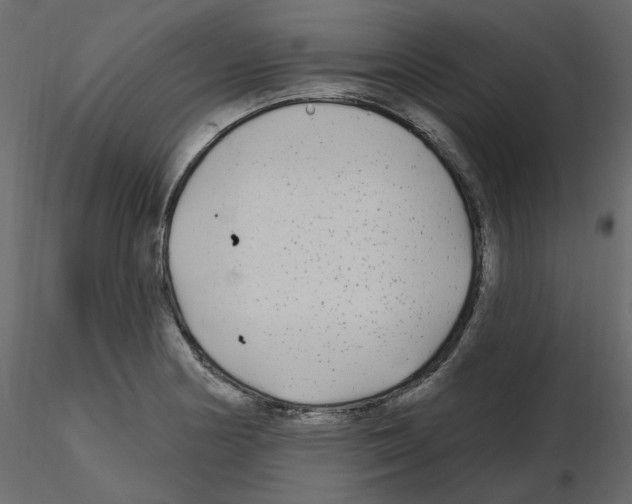 X0000115691178200912241455