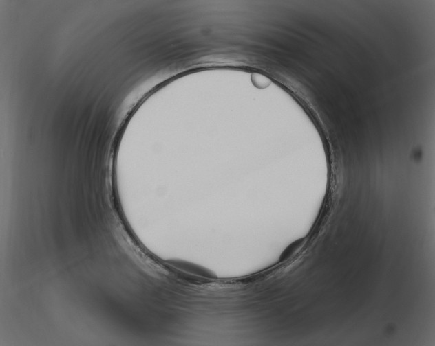 X0000115691179200912241455
