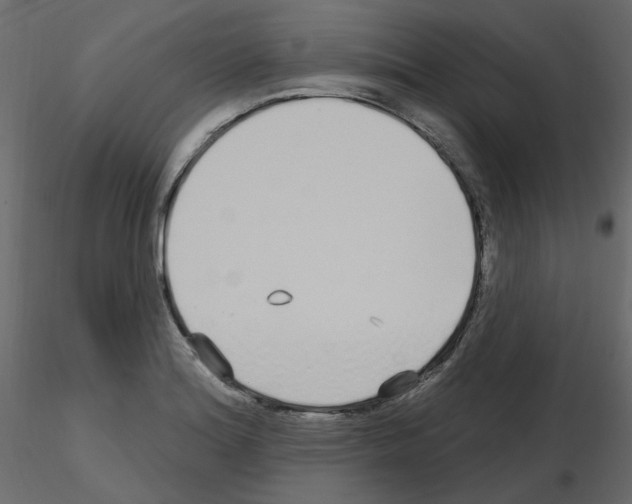X0000115691180200912241455