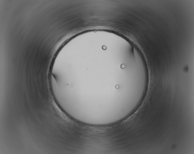 X0000115691181200912241455