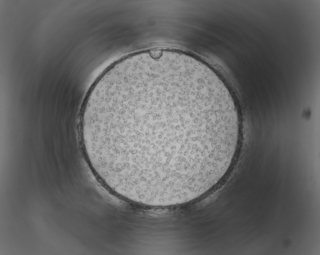 X0000115691182200912241455