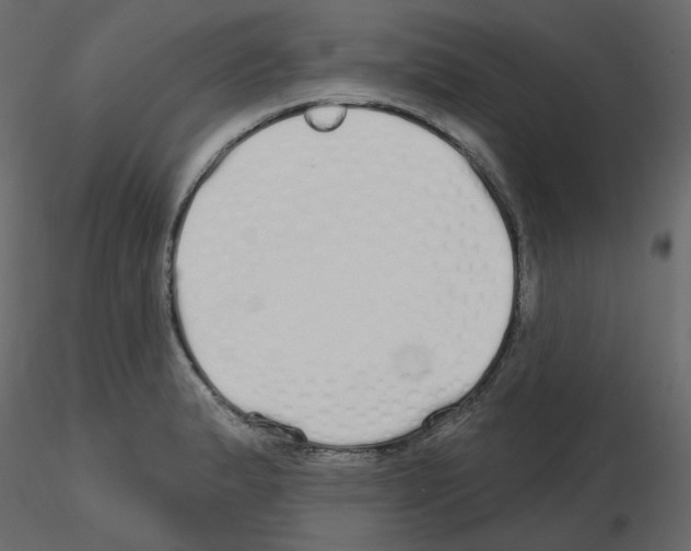 X0000115691183200912241455