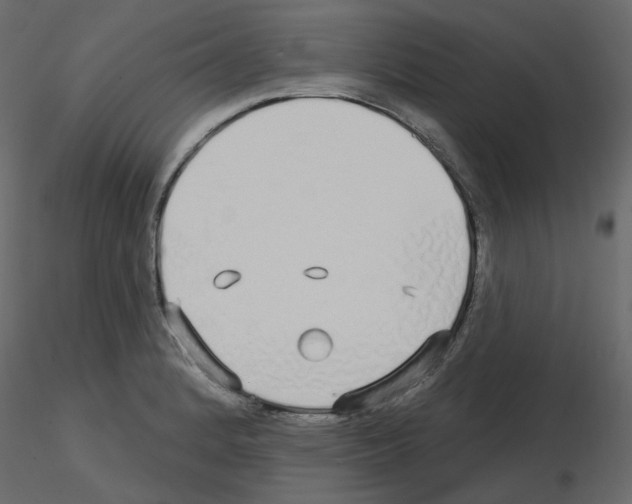 X0000115691184200912241455
