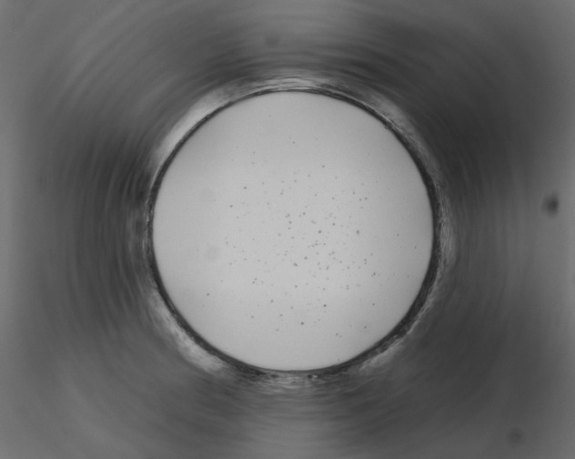 X0000115691186200912241455