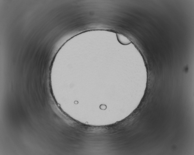 X0000115691187200912241455
