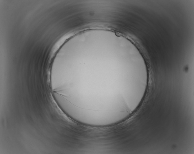 X0000115691188200912241455