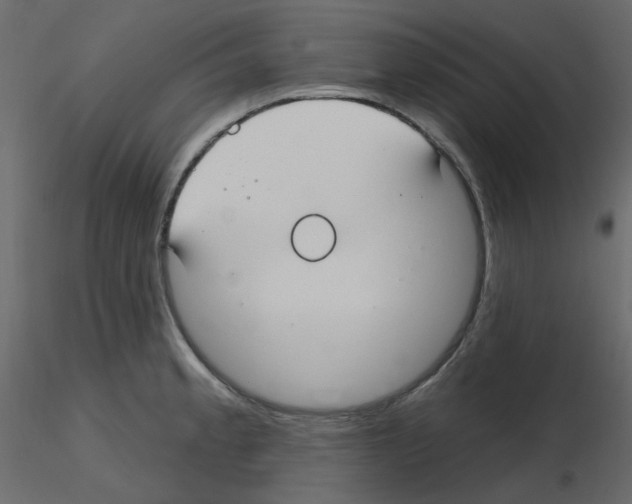 X0000115691189200912241455