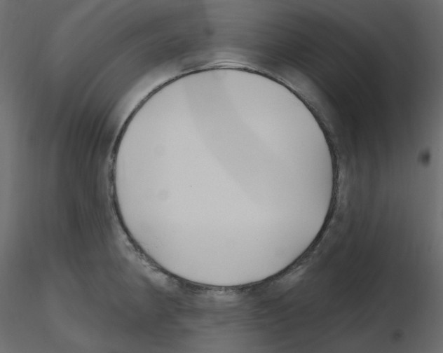 X0000115691190200912241455