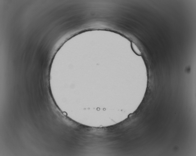 X0000115691191200912241455