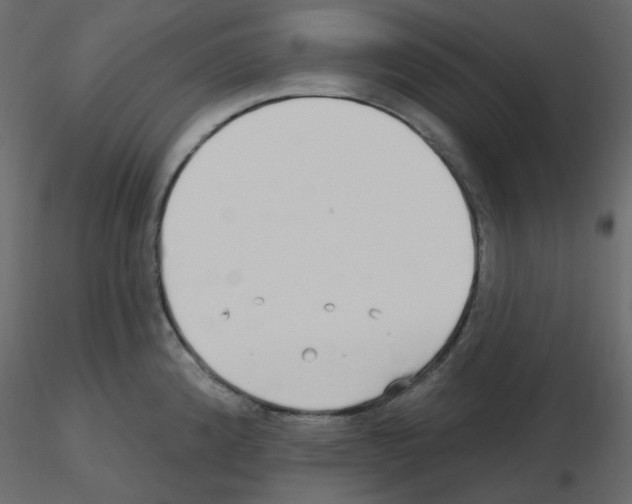 X0000115691192200912241455