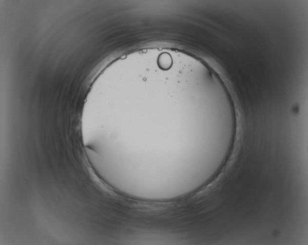 X0000115691193200912241455
