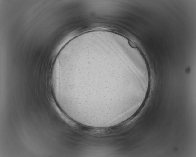X0000115691194200912241455