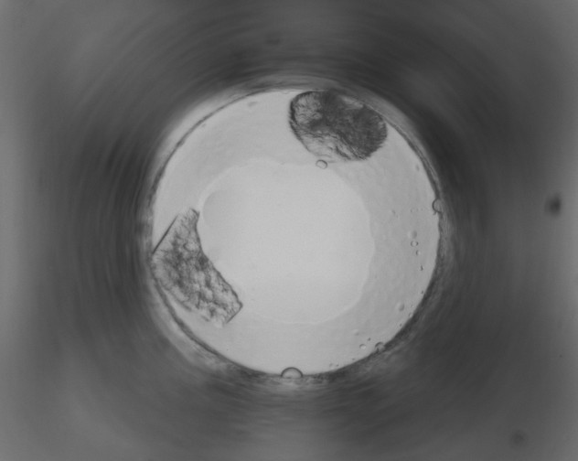 X0000115691195200912241455