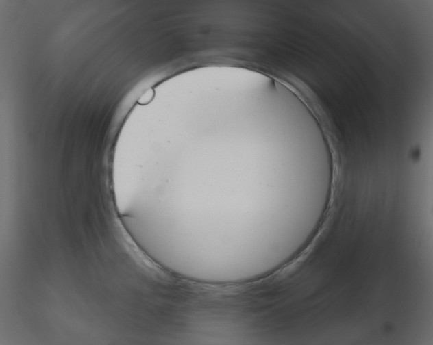 X0000115691196200912241455