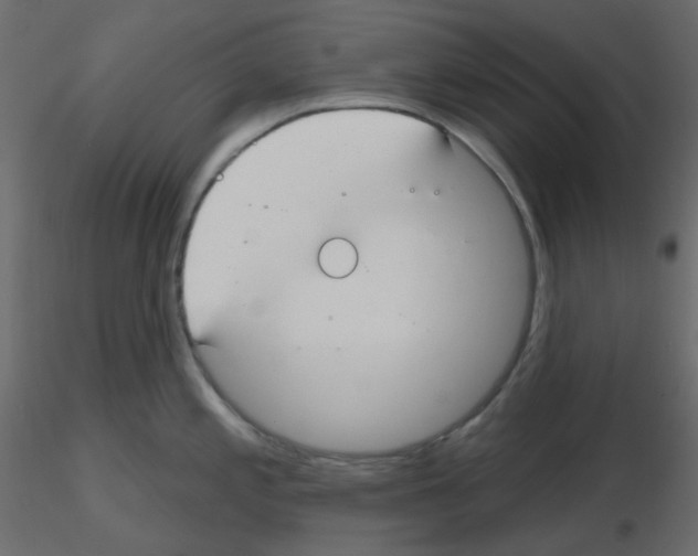 X0000115691197200912241455