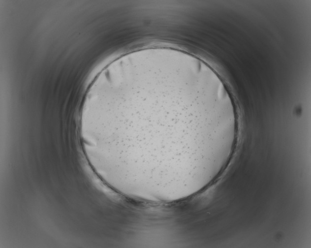 X0000115691198200912241455