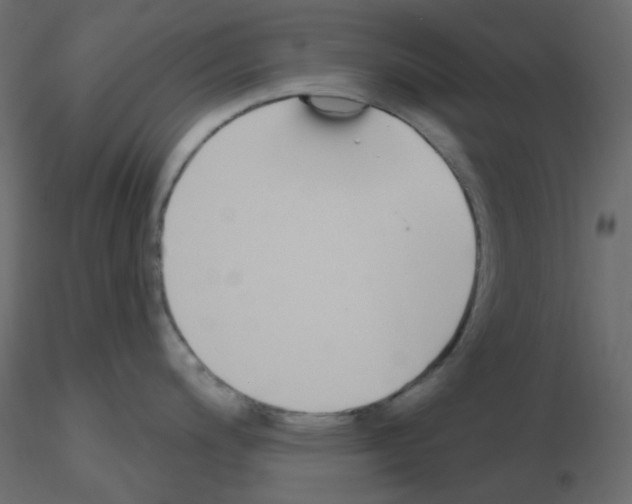 X0000115691200200912241455