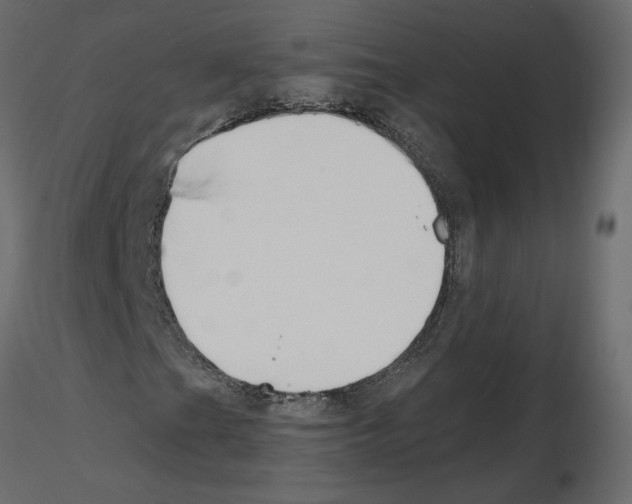 X0000115691201200912241454