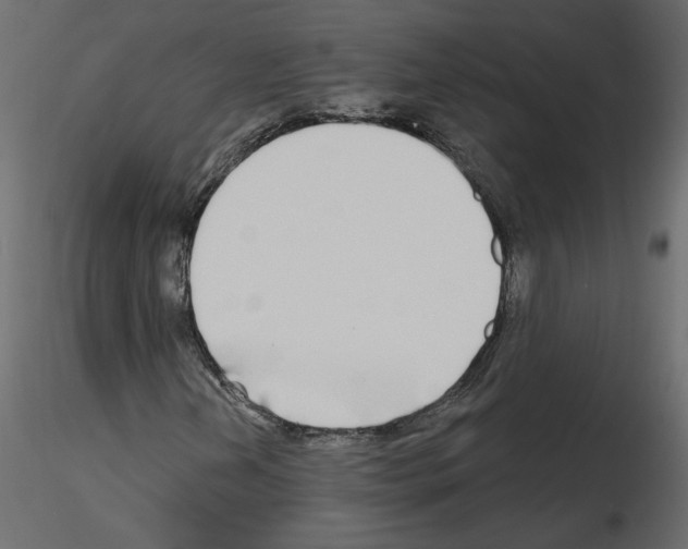 X0000115691202200912241454