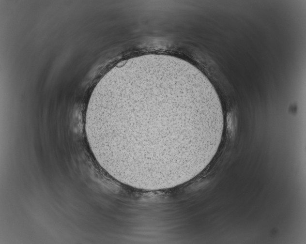 X0000115691203200912241454