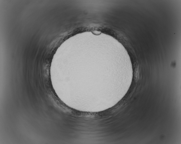 X0000115691204200912241454