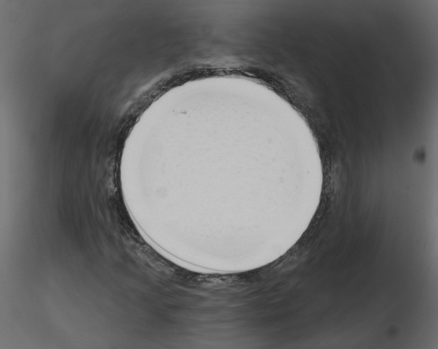 X0000115691205200912241454
