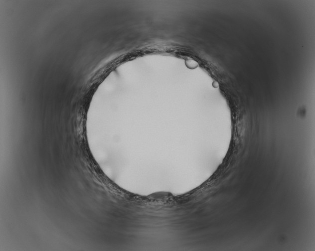 X0000115691206200912241454