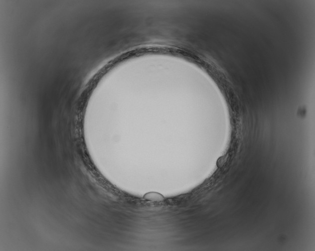 X0000115691208200912241454