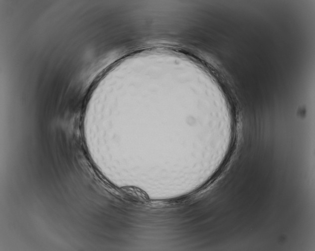 X0000115691209200912241454