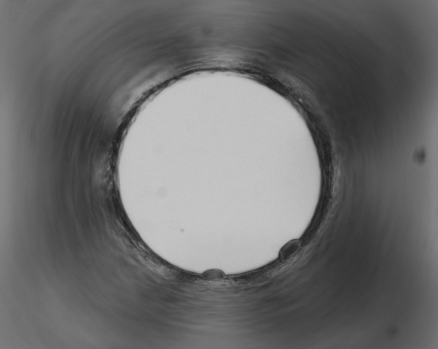 X0000115691210200912241454