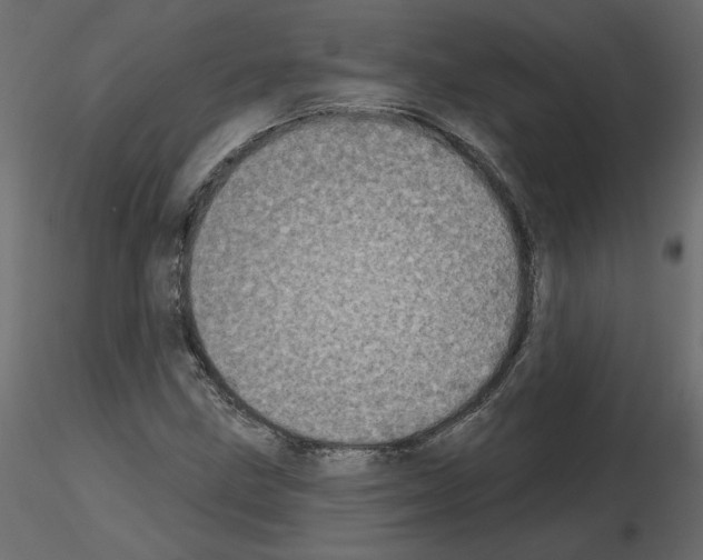 X0000115691211200912241454