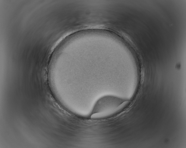 X0000115691212200912241454