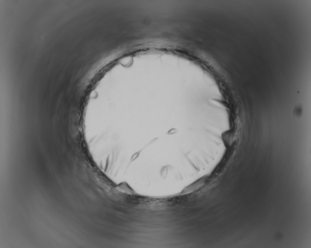 X0000115691213200912241454