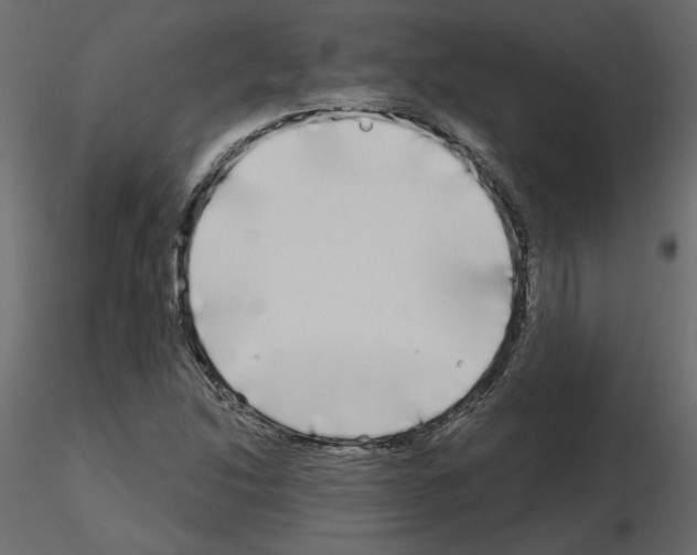 X0000115691214200912241454