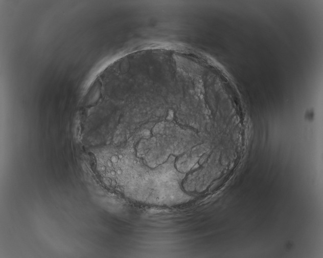 X0000115691215200912241454