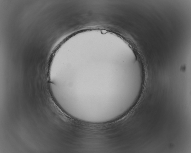 X0000115691216200912241454