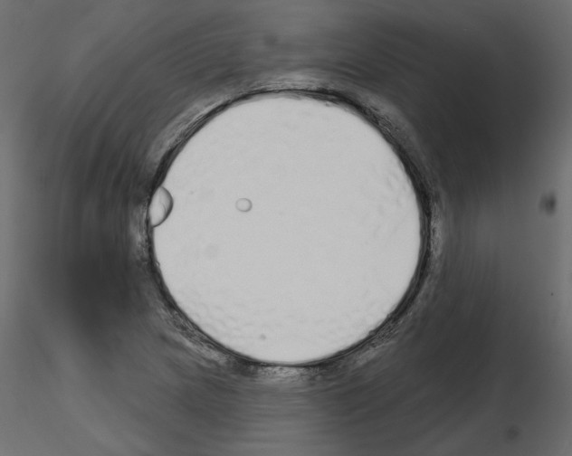 X0000115691217200912241454