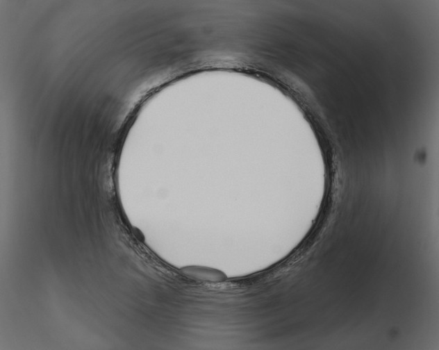 X0000115691218200912241454