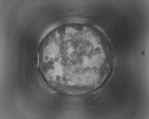 X0000115691219200912241454