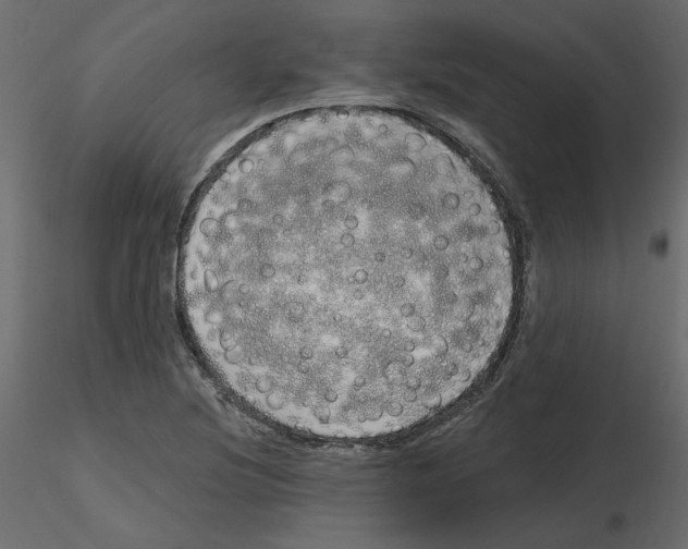 X0000115691220200912241454