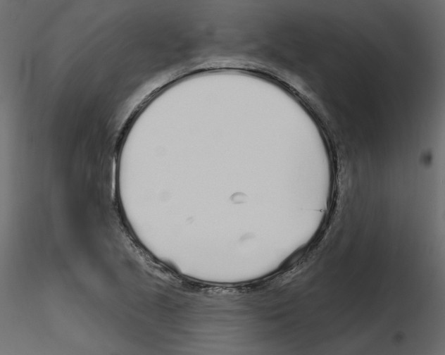 X0000115691221200912241454