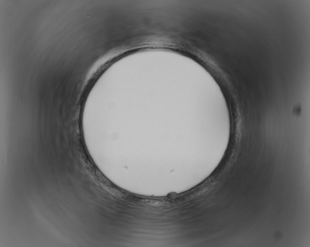 X0000115691222200912241454