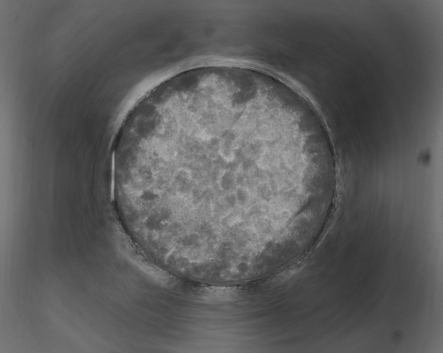 X0000115691223200912241454